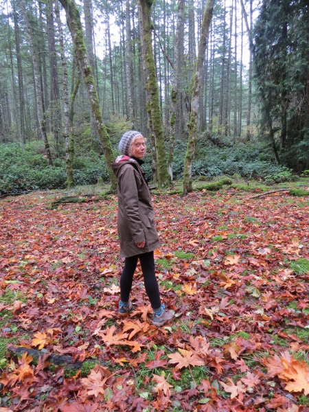 artist in the woods