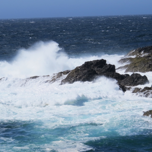 Wild West Coast Waves Uculet B.C.