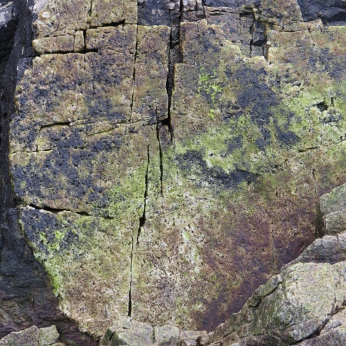 Rocks in Tofino