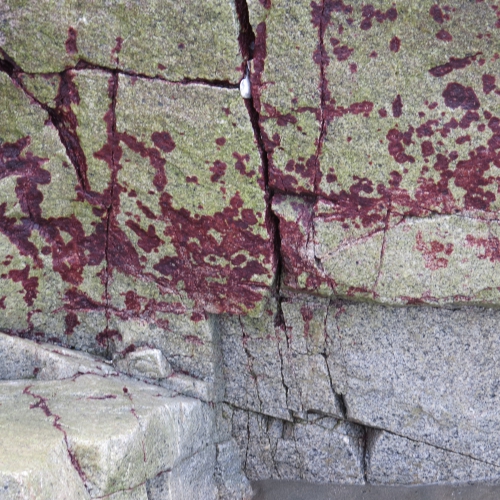 Rocks in Tofino