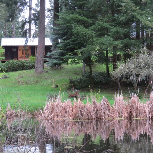 Studio from the Pond