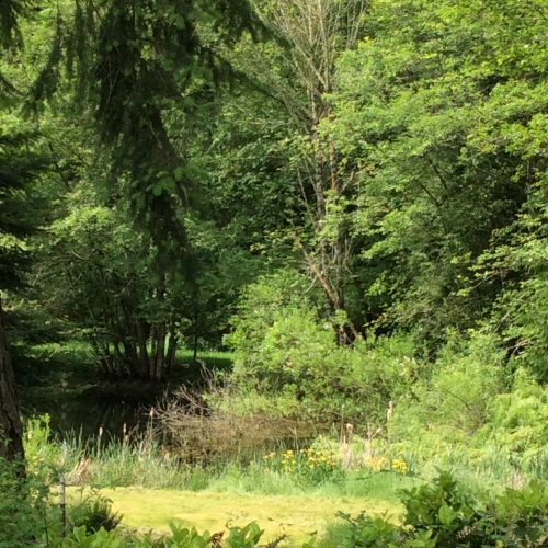 View From the Studio